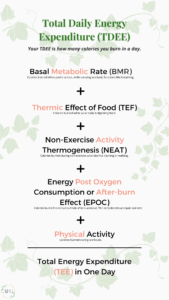 Live a healthier lifestyle NEAT equation infographic