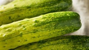 korean cucumbers 