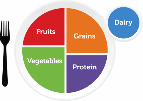 live a healthier lifestyle tip myplate program diagram