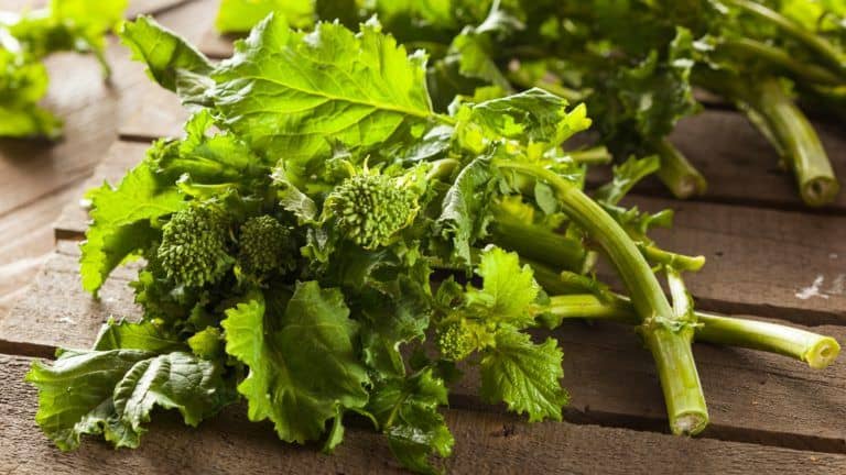 Broccoli Rabe Substitutions raw broccoli rabe header image
