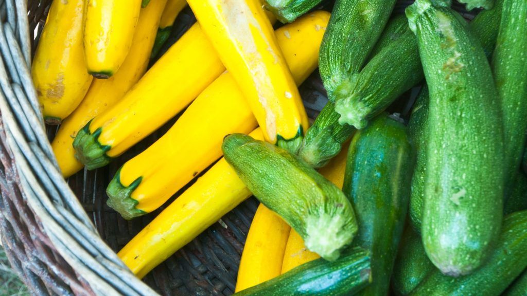 yellow squash and zucchini high volume low-calorie foods